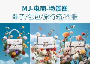 场景图-鞋子/包包/旅行箱/衣服-AI学习笔记